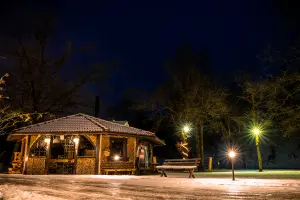 Image 11